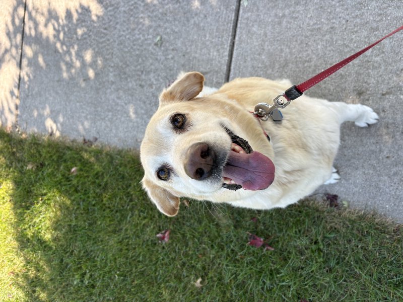 Playful moment during a visit